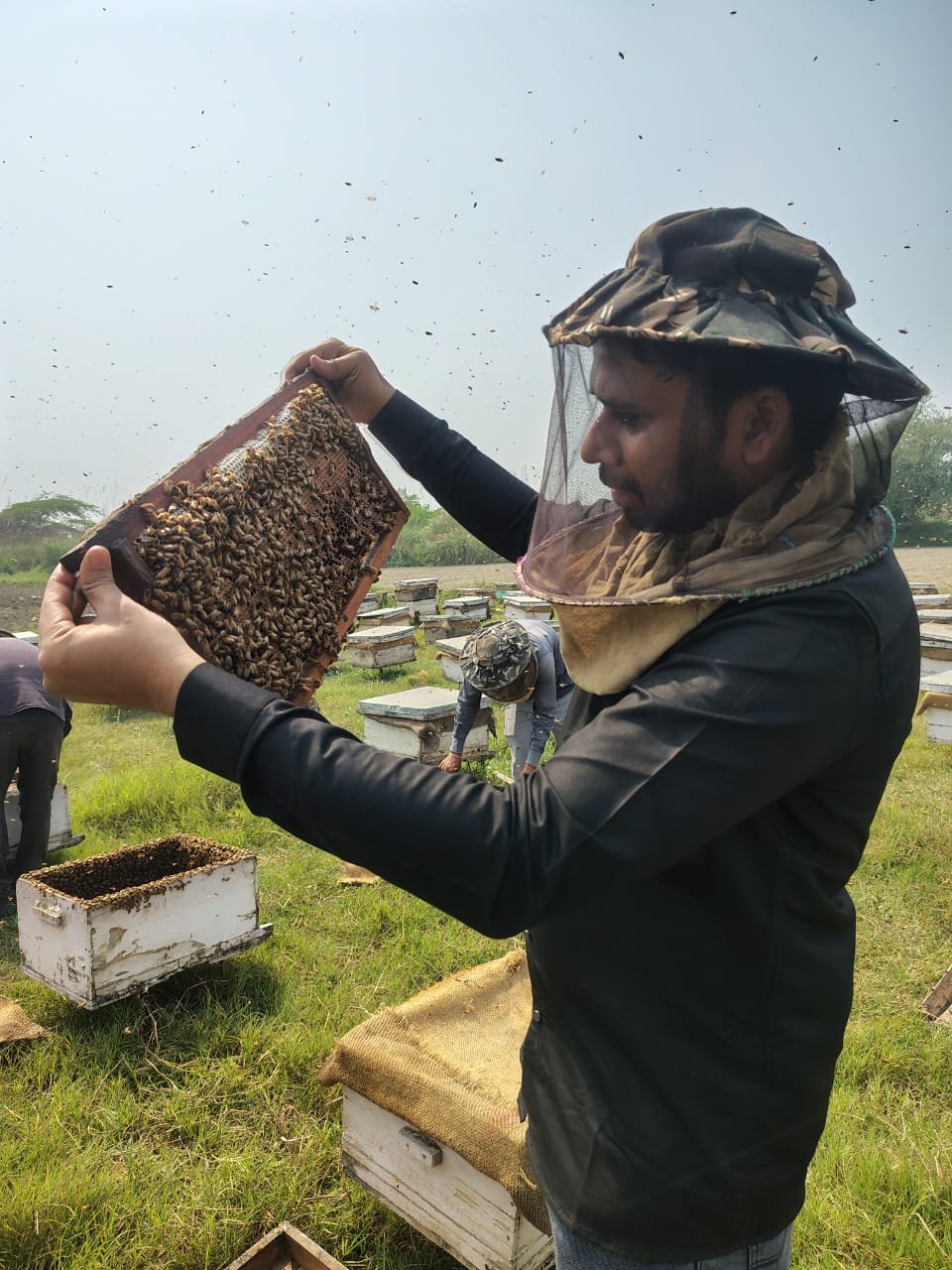 Authentic Honeycomb Inspection