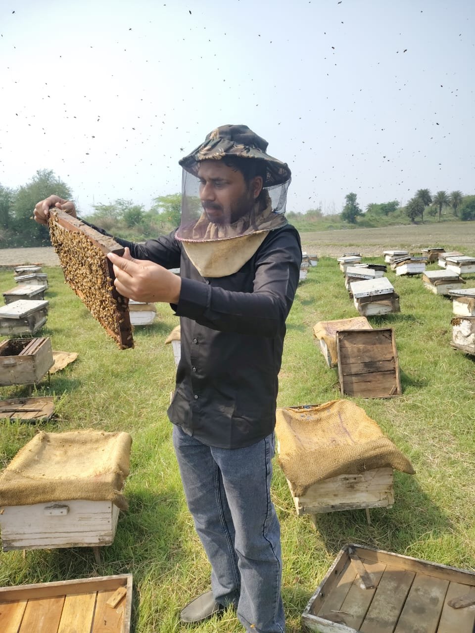 Master Beekeeper Sourcing Pure Honey