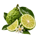 Bergamot