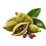Cardamom