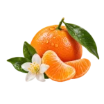 Mandarin Orange