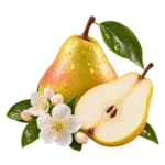 Pear