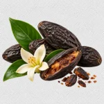 Tonka Bean